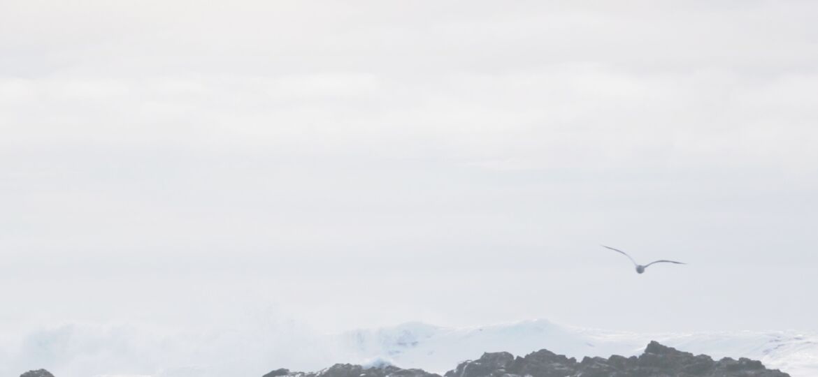 Image2-1.jpg